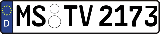 MS-TV2173