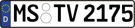 MS-TV2175