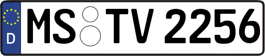 MS-TV2256
