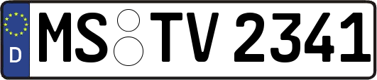MS-TV2341