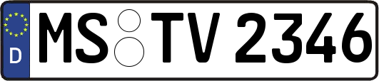 MS-TV2346