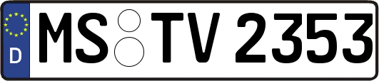 MS-TV2353