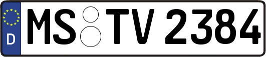 MS-TV2384