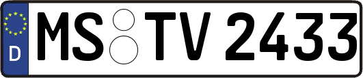 MS-TV2433