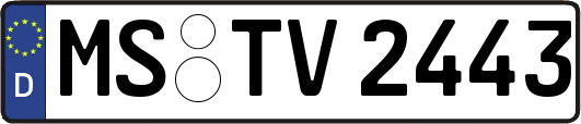 MS-TV2443