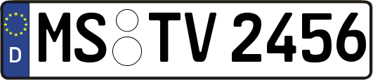 MS-TV2456