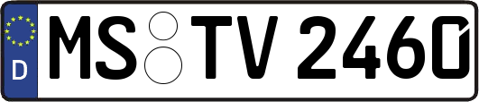 MS-TV2460