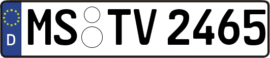MS-TV2465