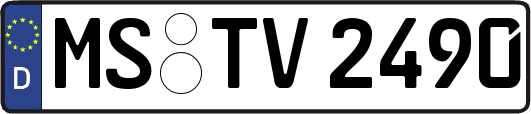 MS-TV2490