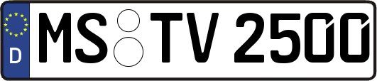 MS-TV2500