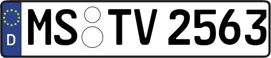 MS-TV2563