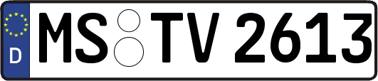 MS-TV2613