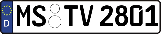 MS-TV2801