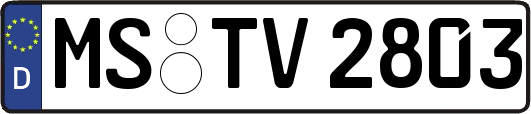 MS-TV2803
