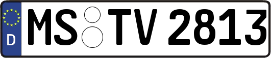 MS-TV2813