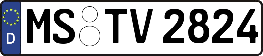 MS-TV2824