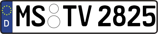 MS-TV2825