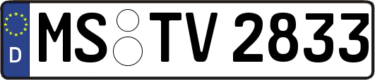 MS-TV2833
