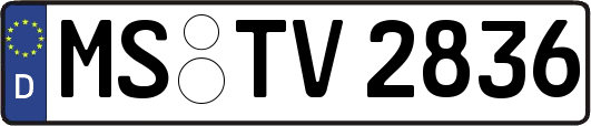 MS-TV2836