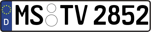 MS-TV2852