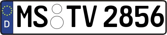 MS-TV2856