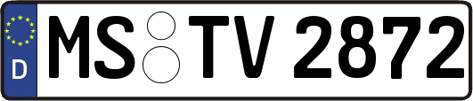 MS-TV2872