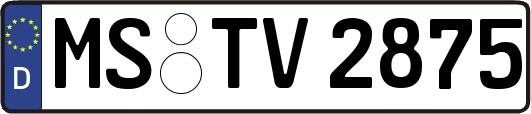 MS-TV2875