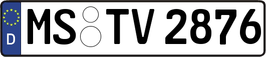 MS-TV2876