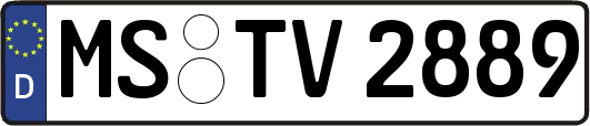 MS-TV2889