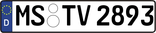 MS-TV2893