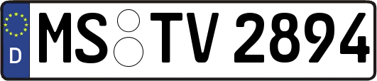 MS-TV2894