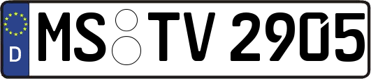 MS-TV2905
