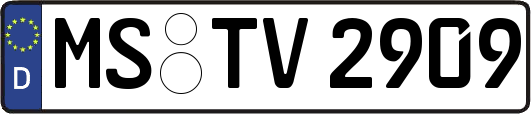 MS-TV2909