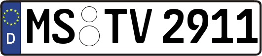 MS-TV2911