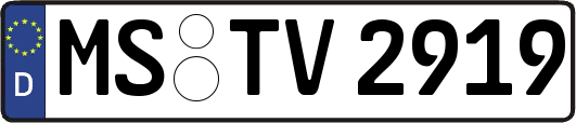 MS-TV2919