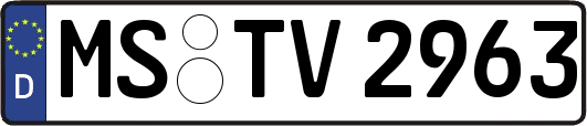 MS-TV2963