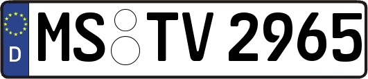MS-TV2965