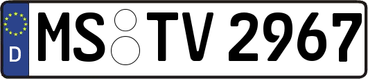 MS-TV2967