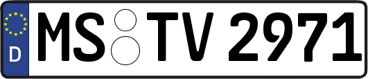 MS-TV2971