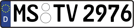 MS-TV2976