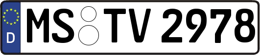 MS-TV2978