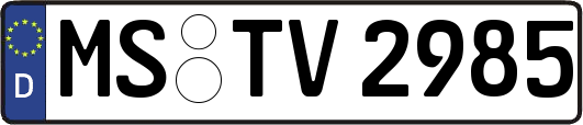 MS-TV2985