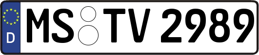 MS-TV2989