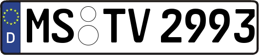MS-TV2993