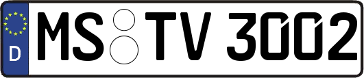 MS-TV3002