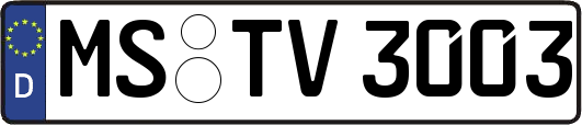MS-TV3003