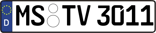 MS-TV3011