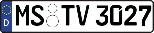 MS-TV3027