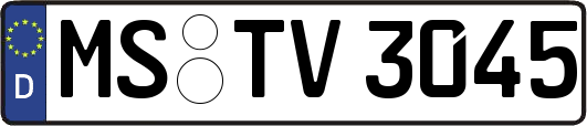 MS-TV3045