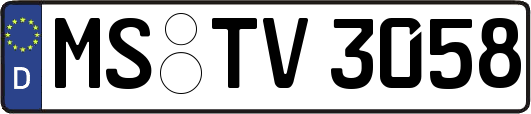 MS-TV3058